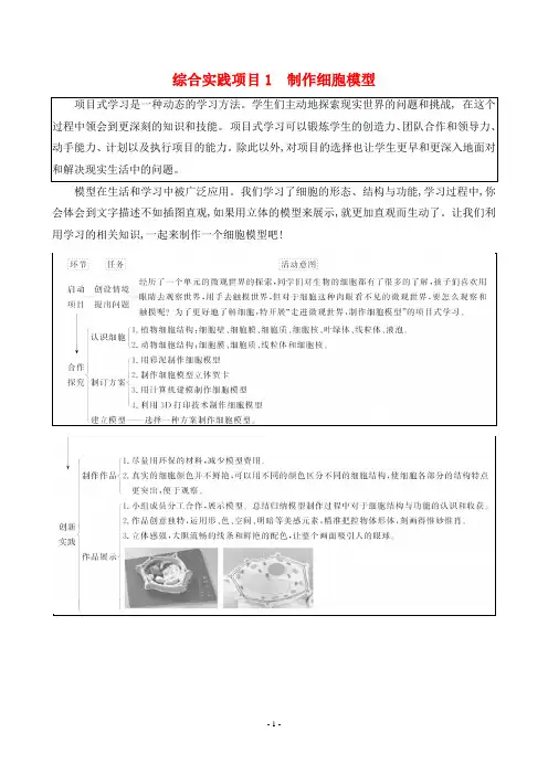 2024年人教版七年级上册生物期末复习综合实践项目1制作细胞模型