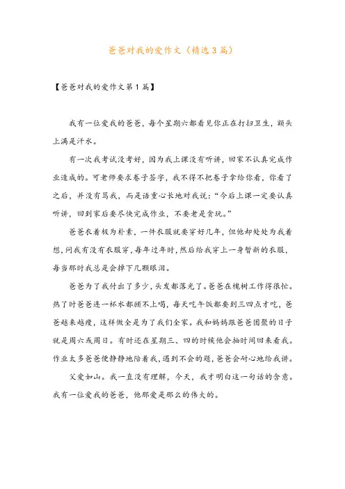 爸爸对我的爱作文(精选3篇)