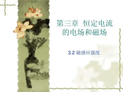 3.2磁感应强度