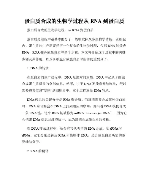 蛋白质合成的生物学过程从RNA到蛋白质