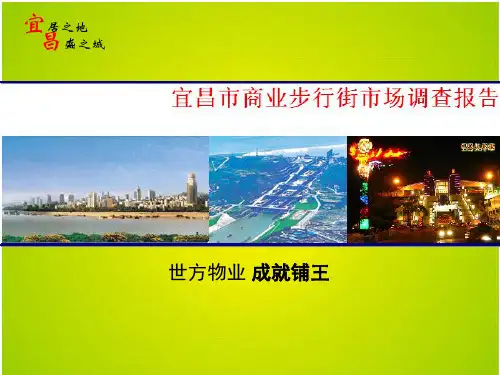湖北省宜昌市商业步行街市场调研报告