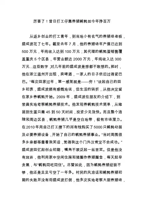 厉害了!昔日打工仔靠养殖鹌鹑如今年挣百万