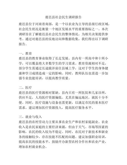 鹿邑县社会民生调研报告
