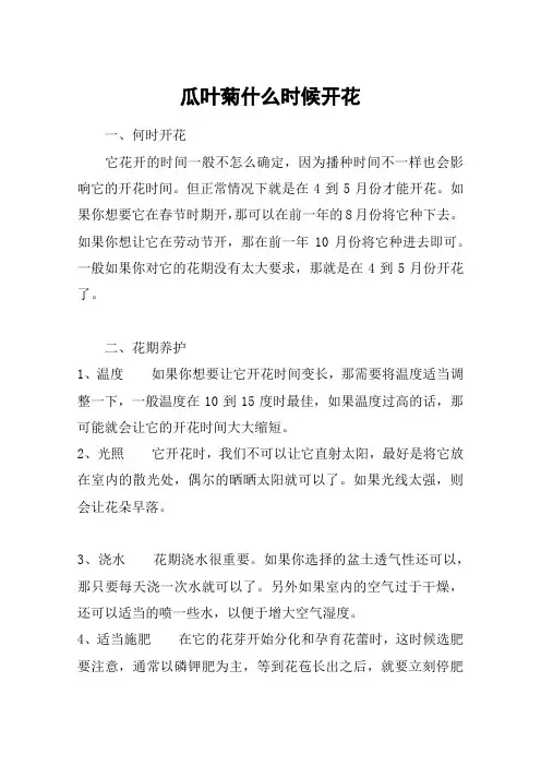 瓜叶菊什么时候开花