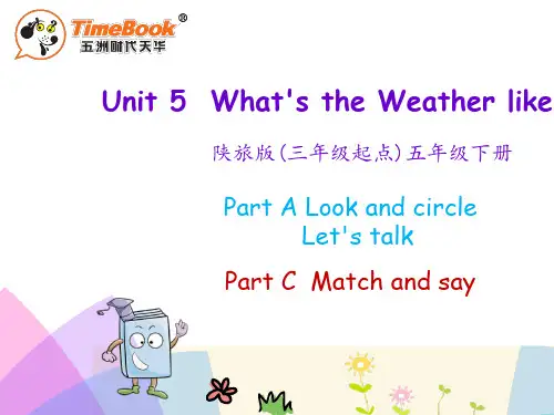 陕西旅游版五年级英语下册Unit 5 What’s the Weather like Today课件(3)
