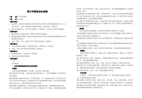 青少年管弦乐队指南