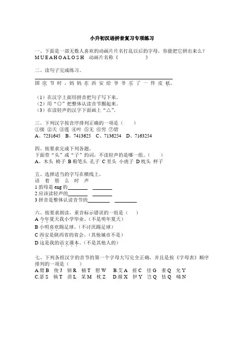 小升初汉语拼音复习专项练习