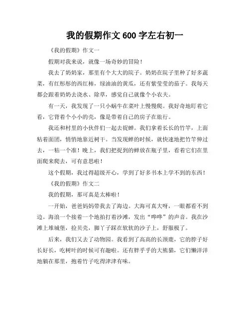 我的假期作文600字左右初一