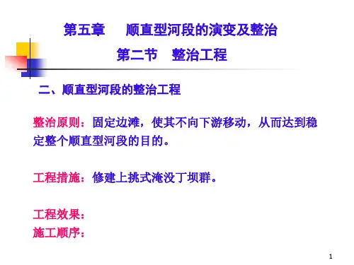 河床演变学  顺直型河段的演变及整治 ﹠ 蜿蜒型河段的演变及整治