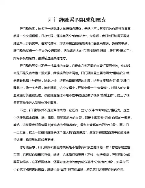 肝门静脉系的组成和属支