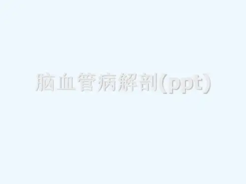 脑血管病解剖(ppt)