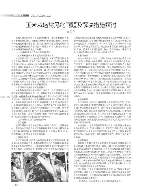玉米栽培常见的问题及解决措施探讨