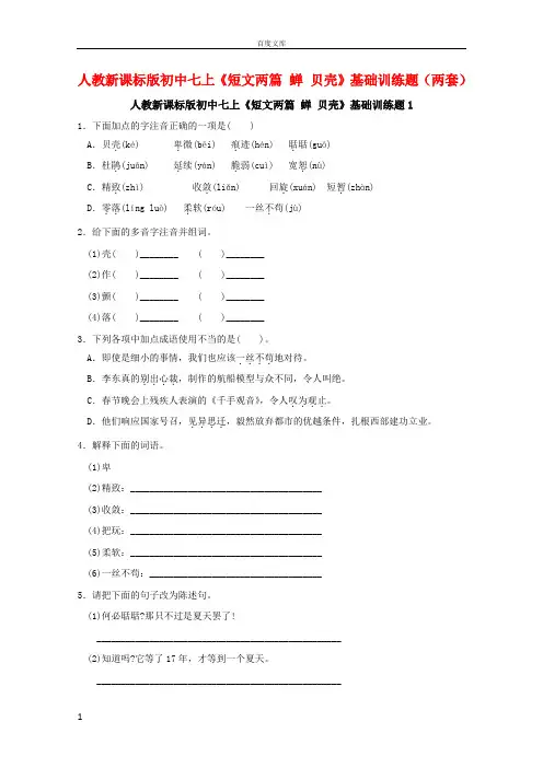 短文两篇蝉贝壳检测