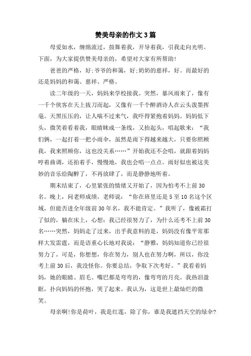 赞美母亲的作文3篇