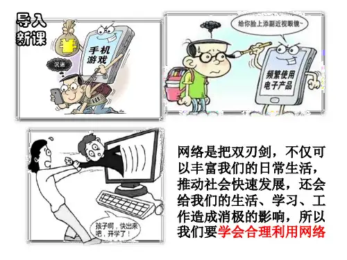 人教版道德与法治八年级上册2.2合理利用网络