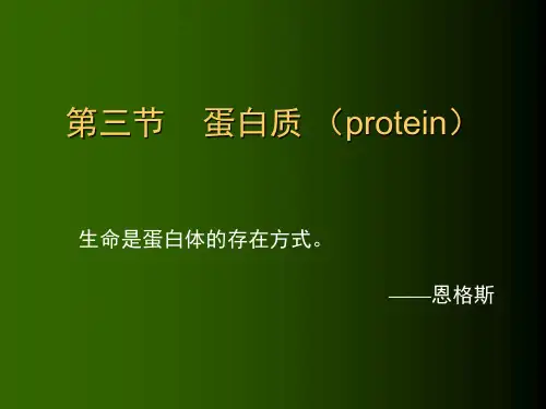 1[1]3第二章三大产能营养素-蛋白质(精)