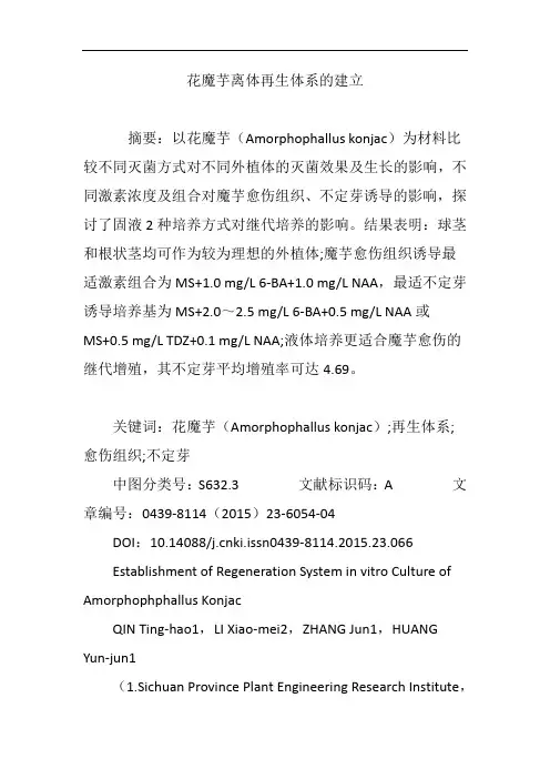 花魔芋离体再生体系的建立