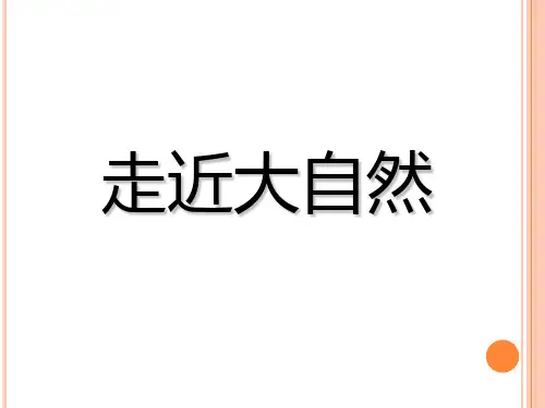 一年级下册美术课件走近大自然2 _人教新课标(秋)(共15张PPT)