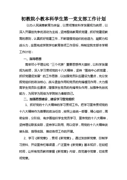 2013年党支部工作计划