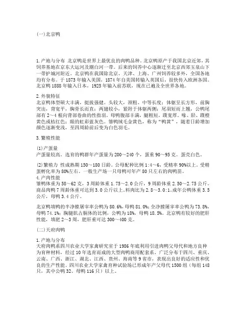 肉鸭品种介绍