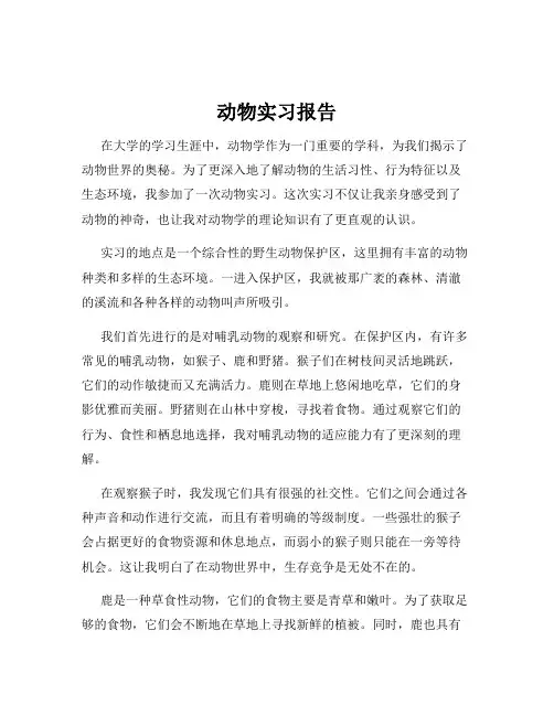 动物实习报告