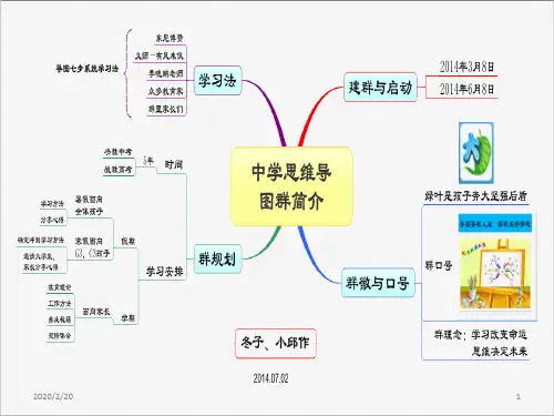 大脑使用说明书PPT课件