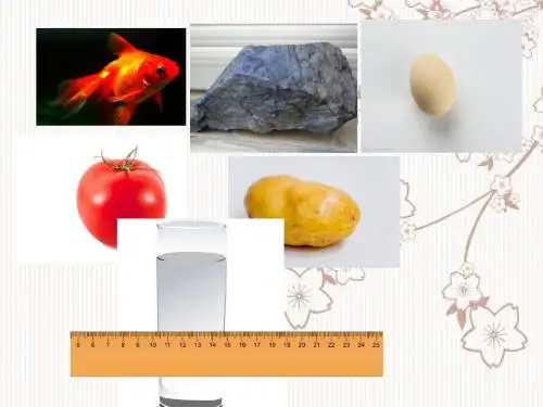 测量不规则物体的体积拓展  六年级数学 圆柱体积
