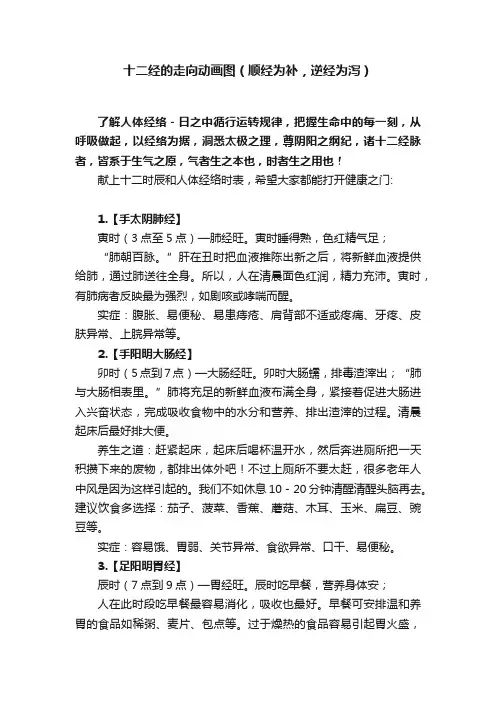十二经的走向动画图（顺经为补，逆经为泻）