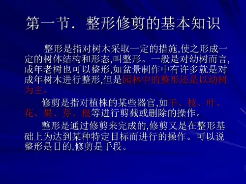 园林树木修剪技术