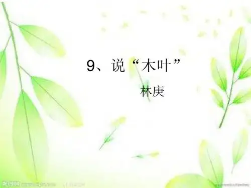 人教版必修五第9课《说“木叶”》课件 (共23张PPT)