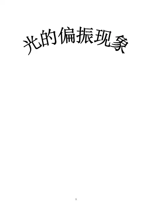 光的偏振现象的实验研究