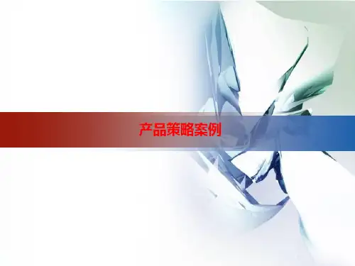 产品策略案例PPT幻灯片课件