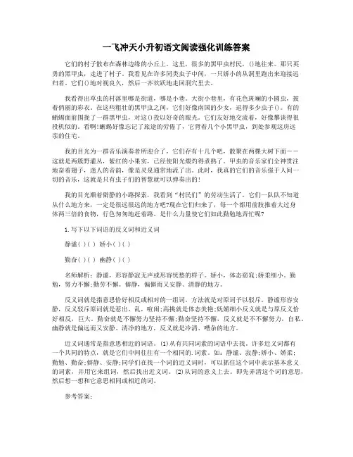 一飞冲天小升初语文阅读强化训练答案