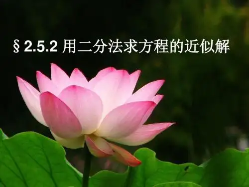 2.5.2二分法_ppt-文档资料