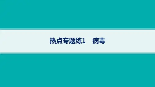 2024届高考二轮复习生物课件(新教材)：病毒