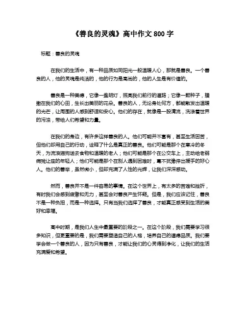 《善良的灵魂》高中作文800字