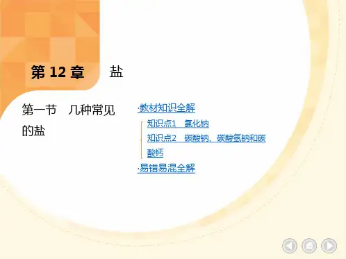几种常见的盐ppt课件