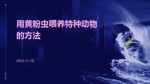 用黄粉虫喂养特种动物的方法
