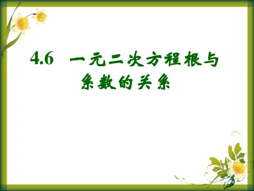 《一元二次方程根与系数的关系》数学教学PPT课件(3篇)