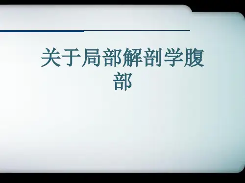 关于局部解剖学腹部课件