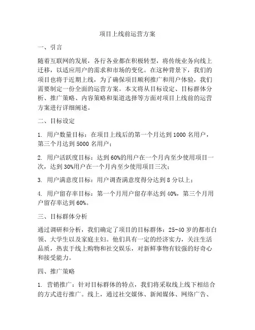 项目上线前运营方案