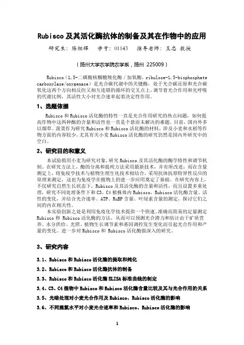 Rubisco及其活化酶抗体的制备及其在作物中的应用