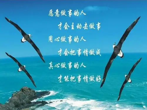 列车上的偶然相遇ppt13