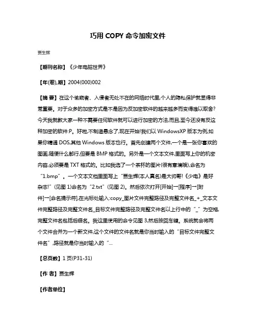巧用COPY命令加密文件