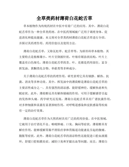 全草类药材薄荷白花蛇舌草