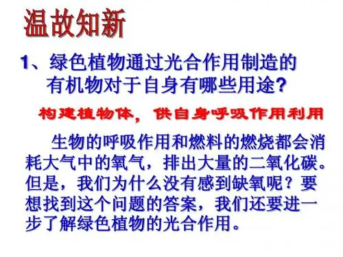 【精品课件三】第一节 光合作用吸收二氧化碳释放氧气N