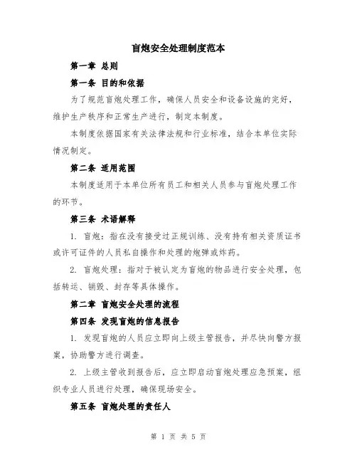 盲炮安全处理制度范本