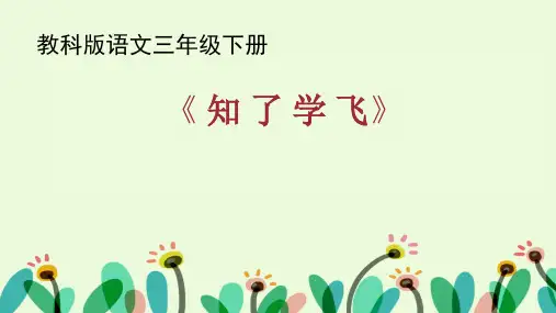 教科版三年级下册语文《知了学飞》
