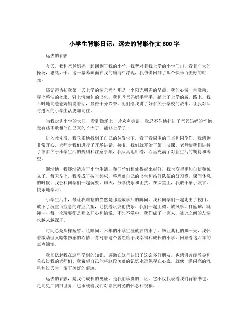 小学生背影日记：远去的背影作文800字