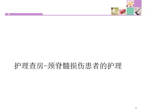 颈脊髓损伤患者的护理ppt课件